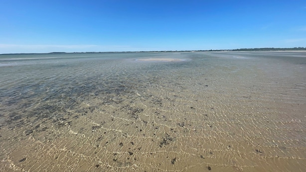 Una playa amplia y abierta, con agua cristalina y una costa distante.
