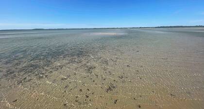 Lovely house with a view of the Limfjord