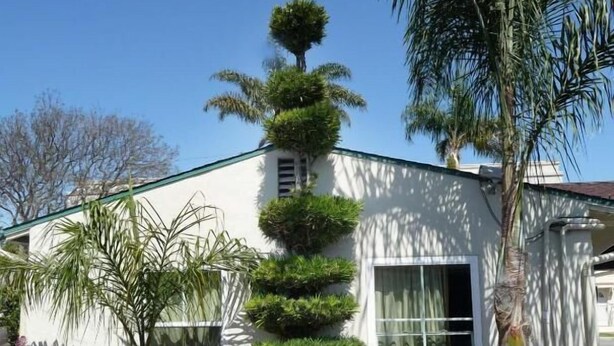 Un edifici amb façana blanca, finestres grans i un jardí ben cuidat ple de plantes i flors diverses.