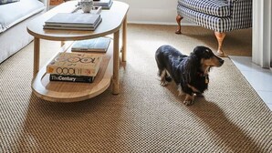 A living room with a sofa, a coffee table, a patterned armchair, a dog, and a painting on the wall.