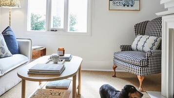 TV connectée, cheminée, livres, chaîne hi-fi