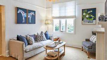 TV connectée, cheminée, livres, chaßne hi-fi