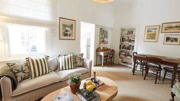 Télévision, cheminée, livres, chaîne hi-fi