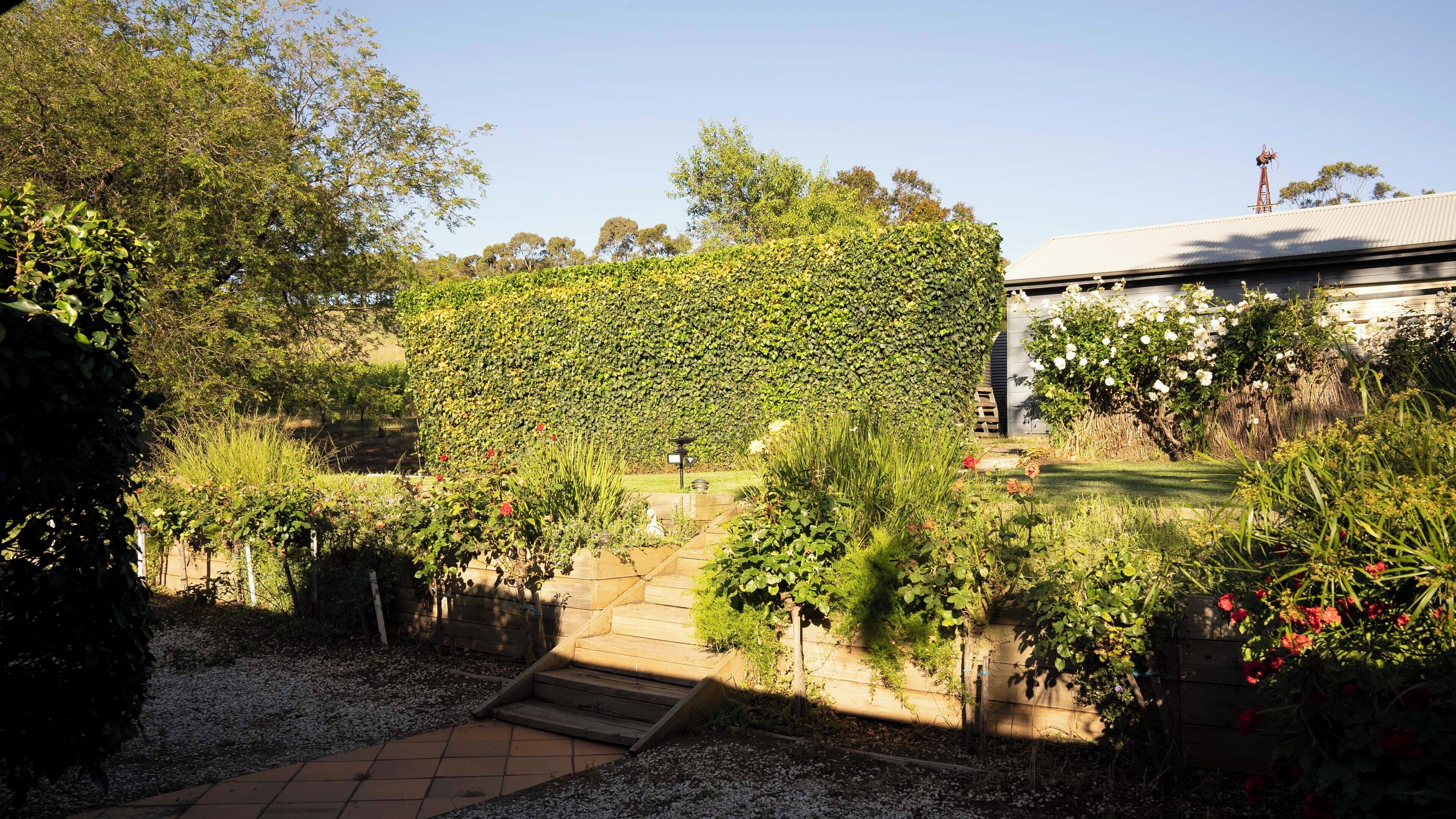 A garden with a variety of plants and a wooden staircase leading to a house.