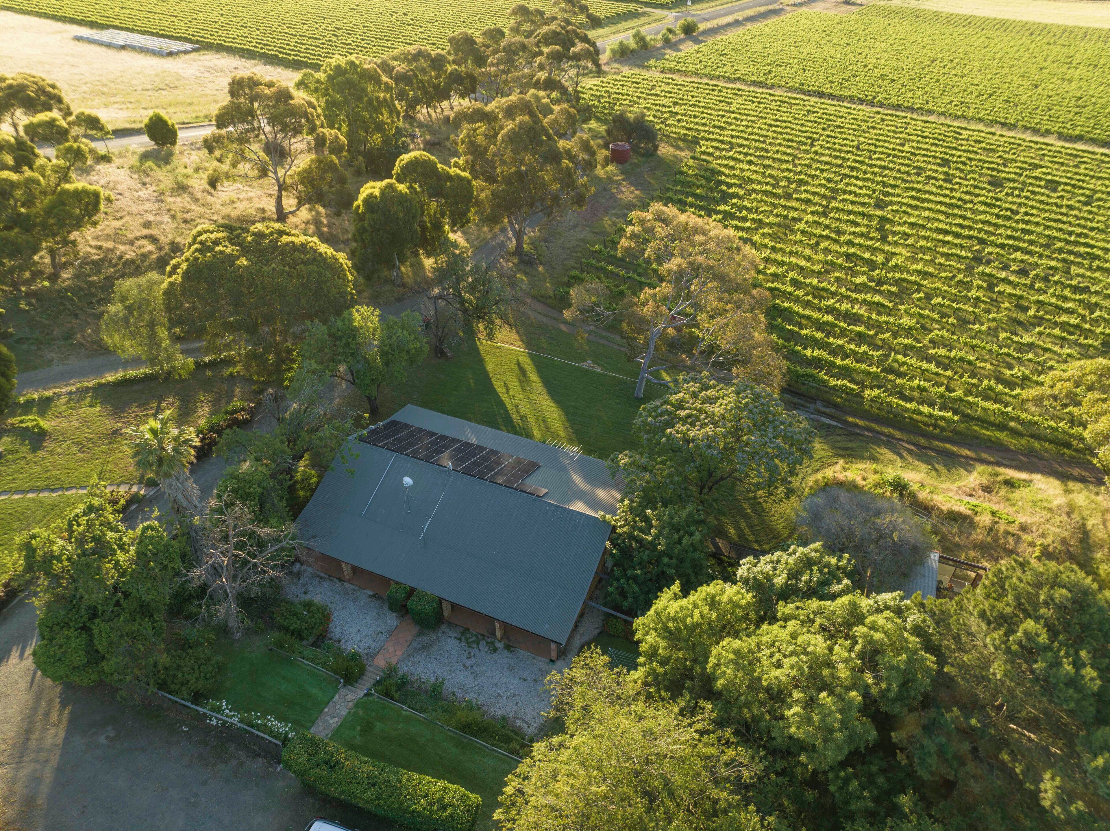 Vista aérea de una propiedad con una casa rodeada de abundante vegetación y campos agrícolas.