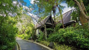 Un sentier menant à un bâtiment traditionnel, entouré d’une végétation luxuriante.
