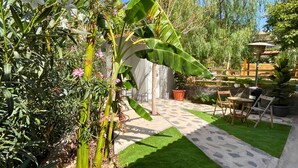 A patio area with a stone pathway, green lawn, and outdoor furniture. - MarketHome Ecolodge Plataneras (Lomo Del Balo (Guia I.))