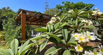 MarketHome Ecolodge Plataneras