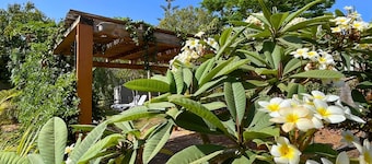 MarketHome Ecolodge Plataneras