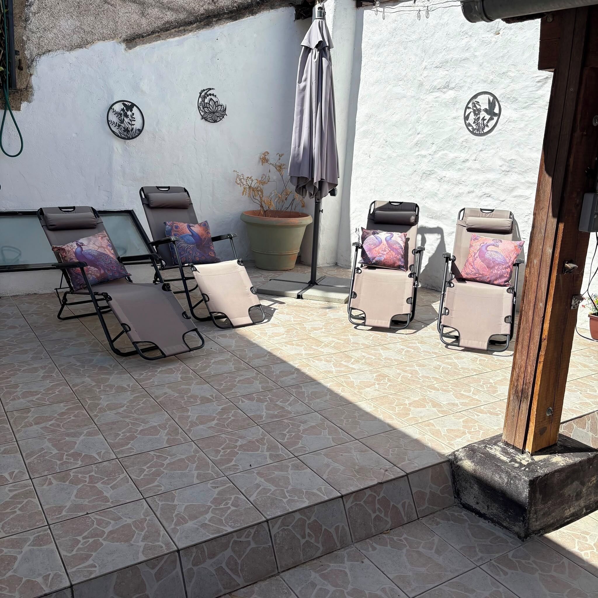 A patio with four sun loungers, a potted plant, and decorative wall art.