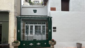 A gated entrance with a green gate, a potted plant on the left, and a potted plant on the right.