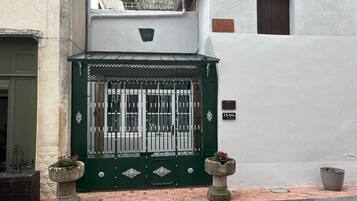 A gated entrance with a green gate, a potted plant on the left, and a potted plant on the right.