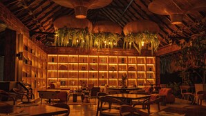 Un restaurante con un interior cálido de madera, que cuenta con una pared de estantes iluminados y plantas colgantes.