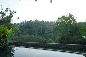 Natural pool