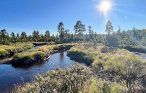 Miscellaneous - Awesome home in Rauland (Rauland)