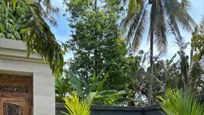 A garden with a stone wall, various plants, and a wooden door. - Ghauri Green View Villas by EPS (Ubud)