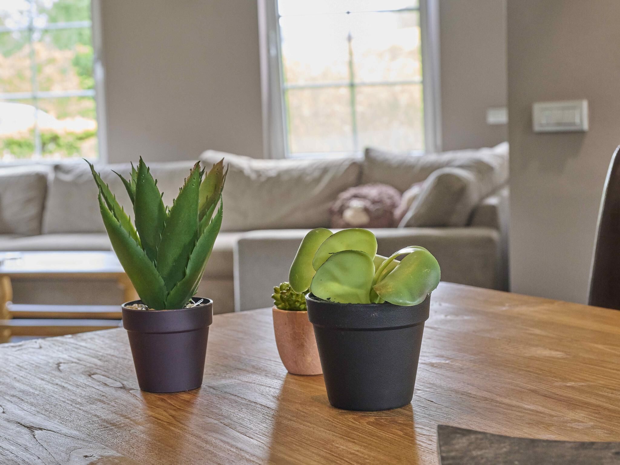 Télévision, lecteur de DVD