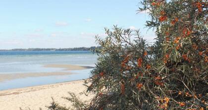 Gemütliche, ebenerdige Ferienwohnung mit Garten