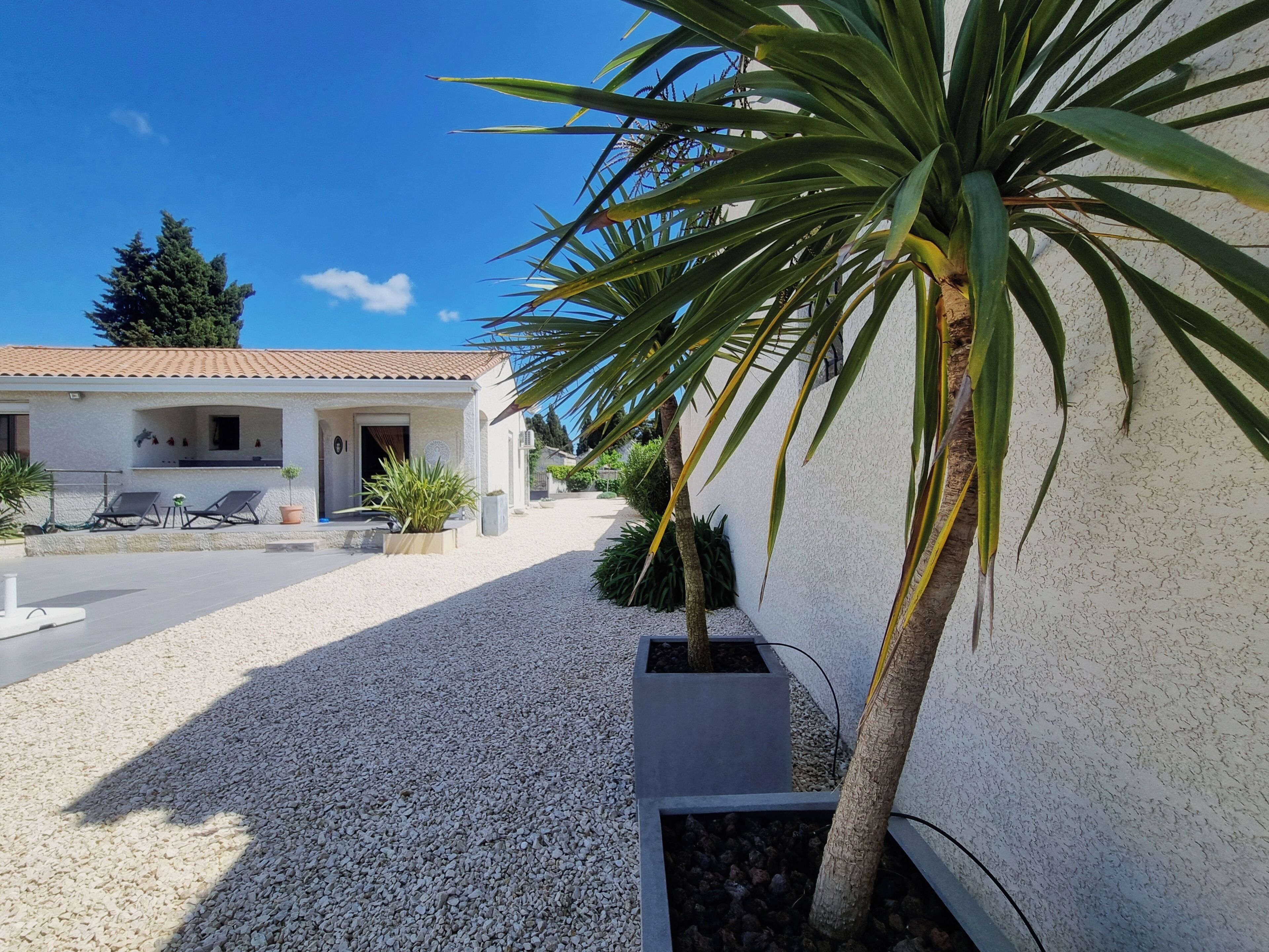 Une villa dotée d’un patio, d’un espace salon extérieur et d’un jardin agrémenté d’un palmier.