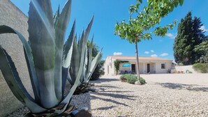 A building with a gravel driveway, surrounded by agave plants and a tree. - Superb villa with a private pool (Saint-Nazaire-d'Aude)