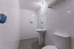 Secador de cabelo, toalhas de banho, sabonete, shampoo
