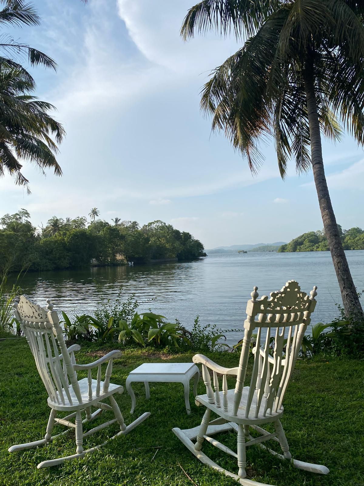 Two rocking chairs and a small table on a grassy area with a view of a lake and palm trees.