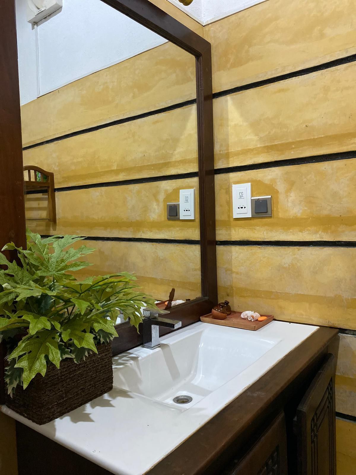 A bathroom with a white sink, a mirror, and a potted plant. There are two electrical outlets on the wall.