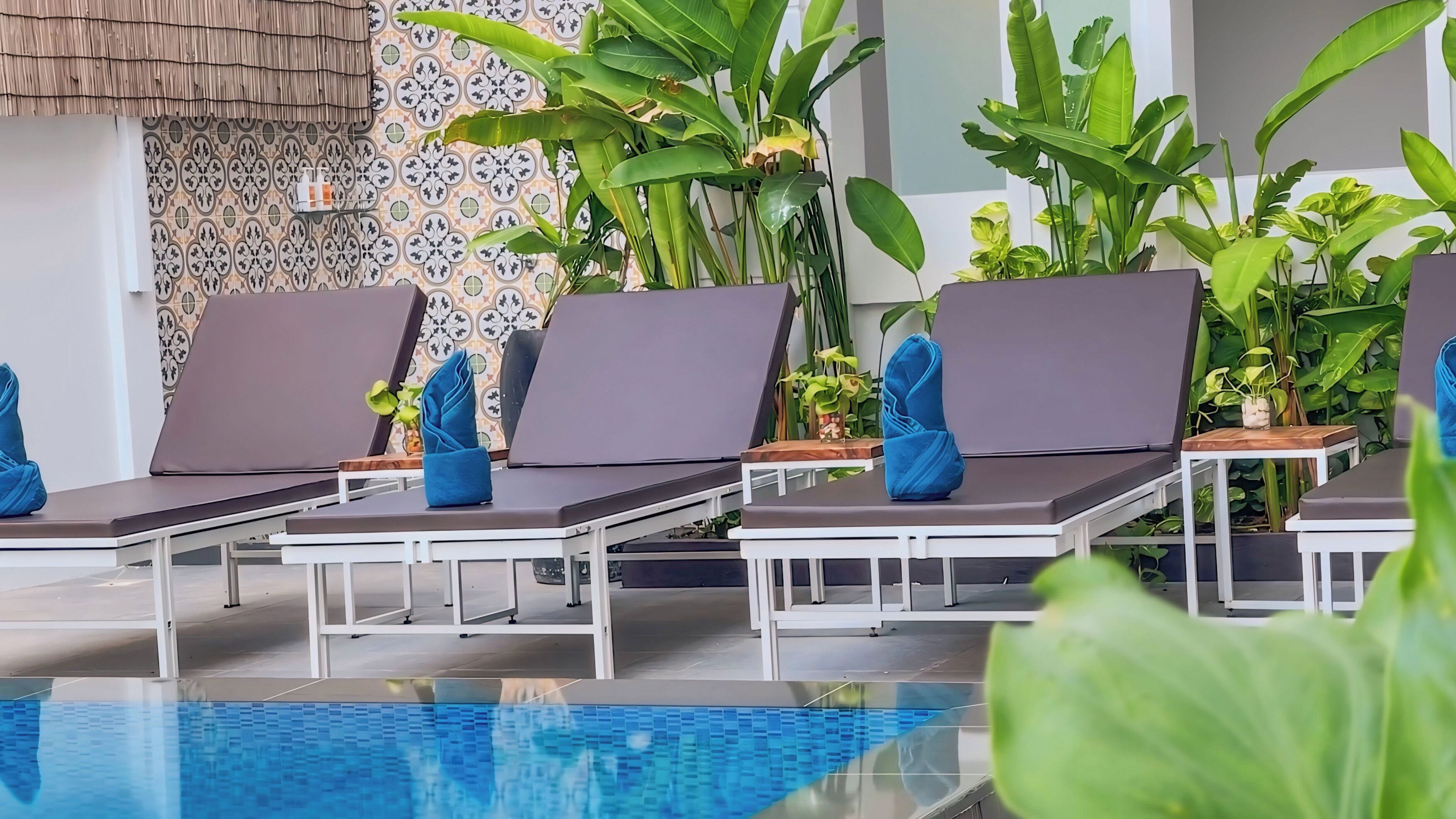 Un espace aménagé au bord de la piscine, avec des chaises longues et des plantes en pot.