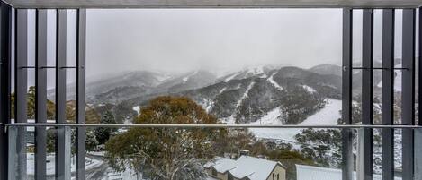 Vista desde la propiedad