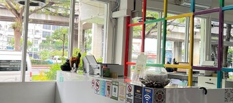 Lemon Tree Khaosan Hostel