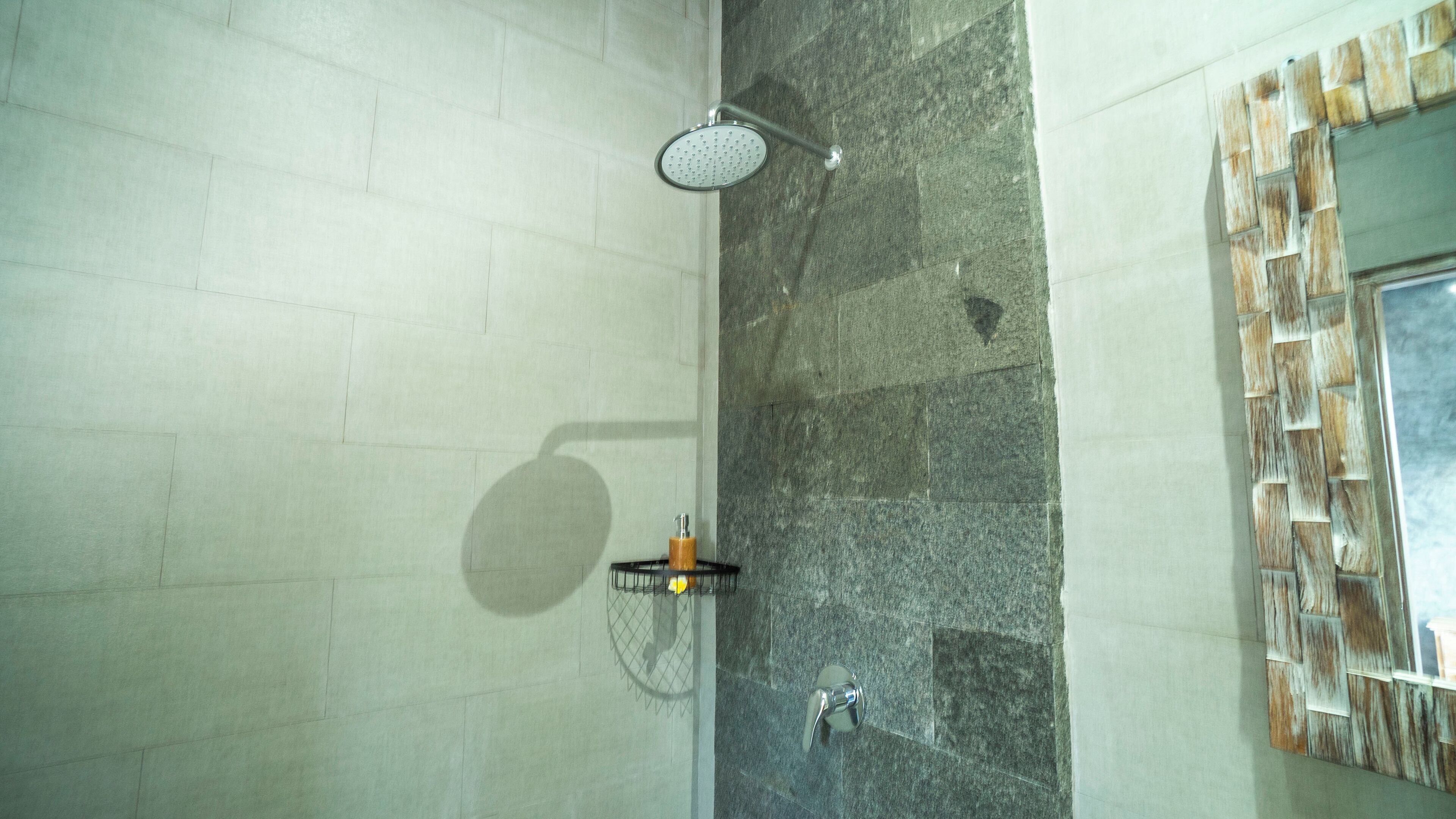 A shower with a handheld showerhead, a wall-mounted faucet, and a soap dispenser.