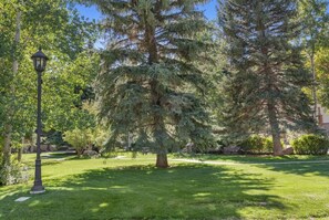 Niet-geclassificeerde afbeelding, 3 van 23, knop