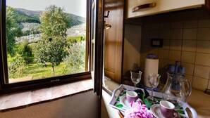 Une cuisine donnant sur un paysage verdoyant grâce à une fenêtre, un plateau avec des tasses et une carafe.