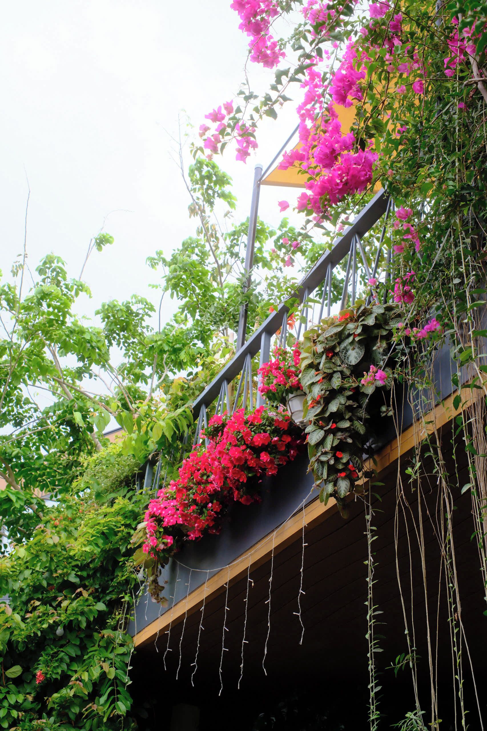 A staircase with hanging planters containing pink flowers, surrounded by greenery.