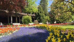 Un jardin agrémenté de diverses variétés de fleurs, de bancs et d’un bâtiment orné de colonnes.