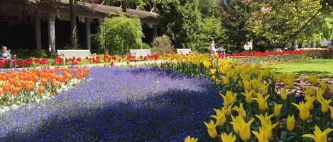 A garden with a variety of flowers, benches, and a building with columns.