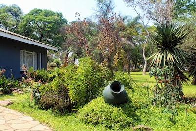 Spring Resort Restaurant and Lodge 