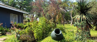 Spring Resort Restaurant and Lodge