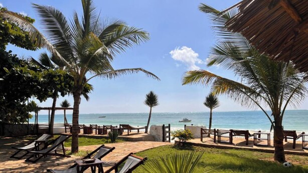 Un área de descanso en la playa con sillas reclinables, una palmera y vista al océano.