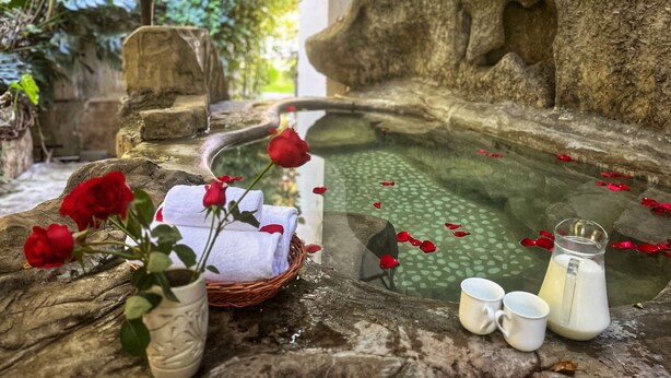 A stone basin with water, surrounded by greenery, a basket of towels, a vase with roses, and a pitcher of milk.