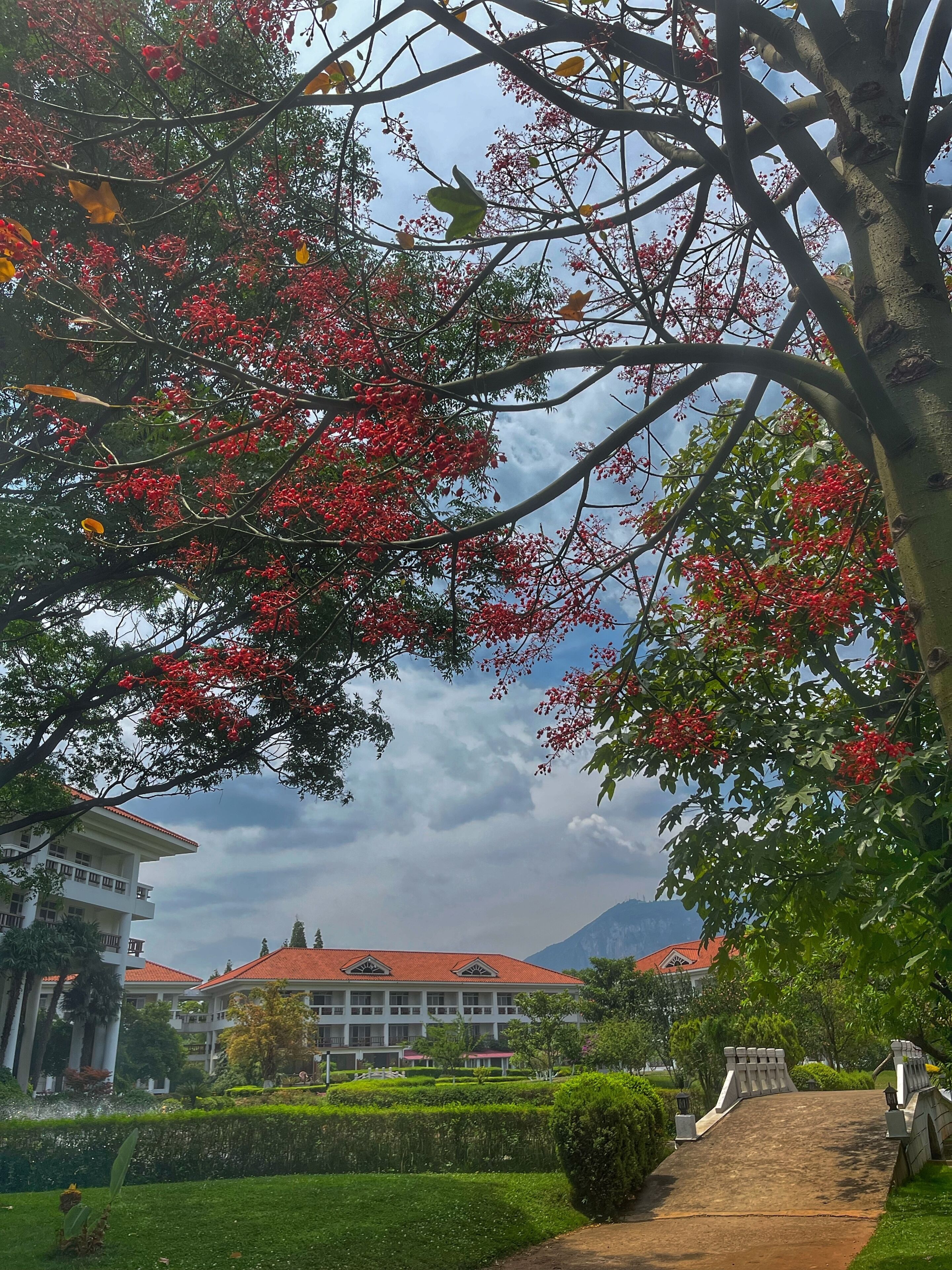 A building with a red roof, surrounded by greenery and a clear sky.