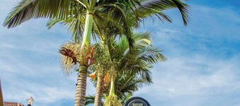 Net Luna Villa Hotel and Tours