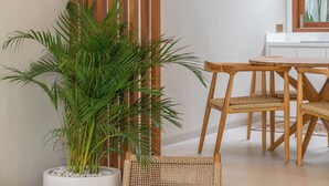 A modern living room with a wooden partition, a dining table with chairs, a potted plant, and a wicker chair. - Villa Inka (Canggu)