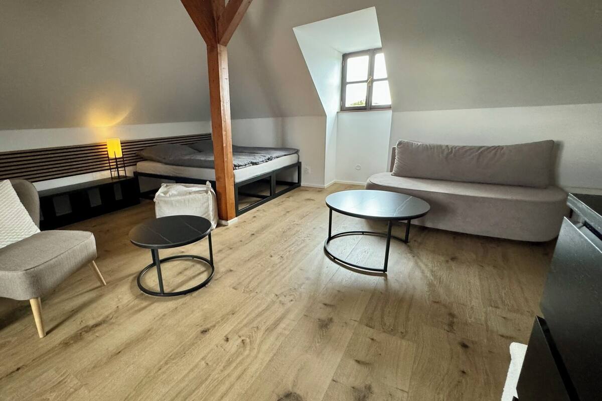 A loft-style room with a loft bed, a sofa, a round coffee table, and a small dining table.