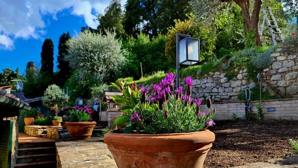 A terracotta pot with purple flowers on a stone ledge. - Apartment 'La Terrazza, Cetona, Toscana' with Mountain View, Wi-Fi and Air Conditioning (Cetona)