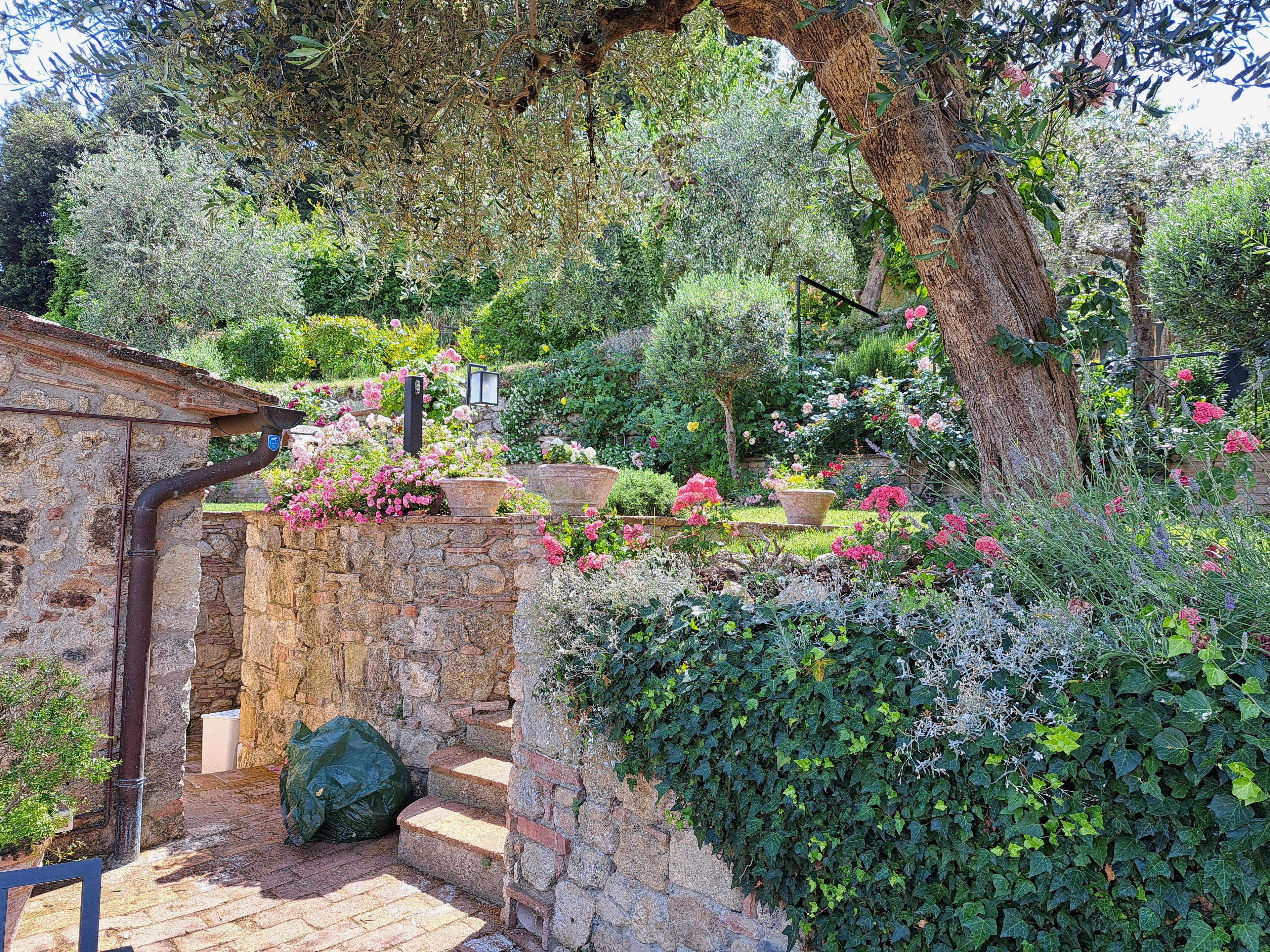 Un mur de pierre avec des marches menant à un jardin où l’on trouve différentes plantes et fleurs.