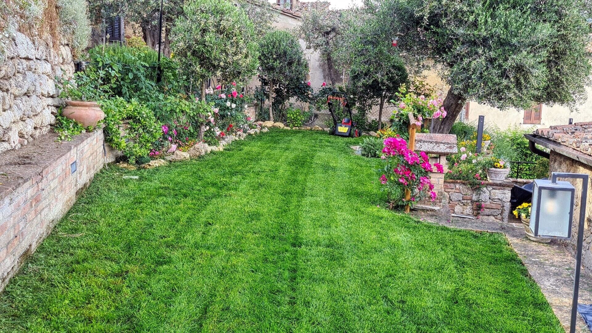 Un jardín bien cuidado con diversas plantas y flores, un muro de piedra y una zona pavimentada.