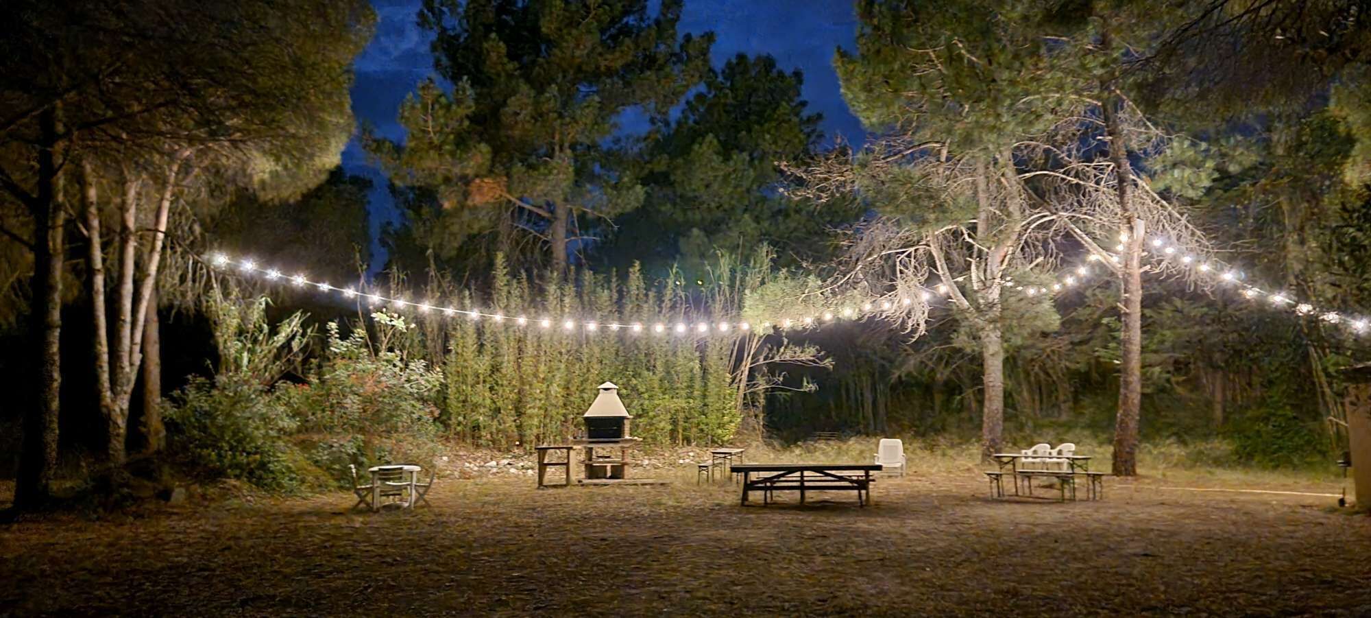Zona exterior amb taules de pícnic i llums penjades, envoltada d'arbres.