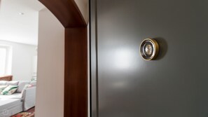 A room with a grey door, a wooden frame, and a small circular object on the door.