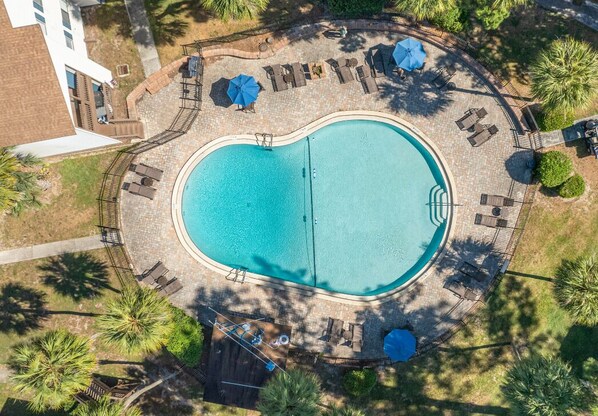 Pool - Sweetwater 7E I Beautiful 2Bd Apt I Free Parking (Gainesville)